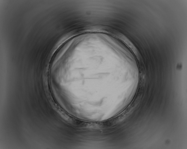 X0000100751002200807171407