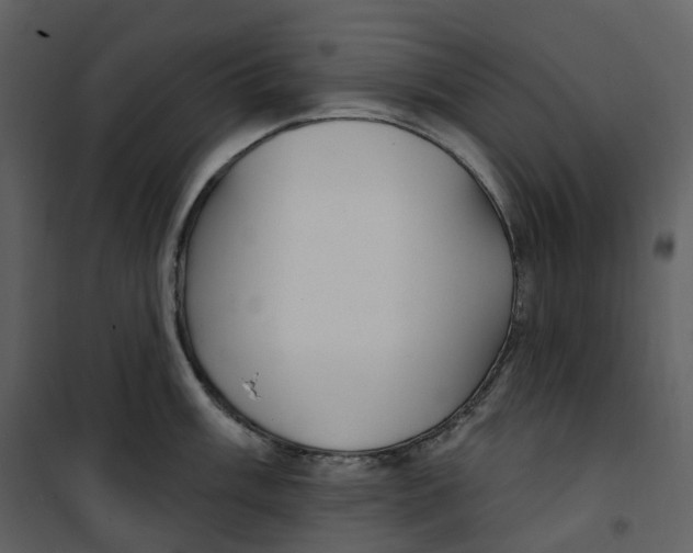 X0000100751003200807171407