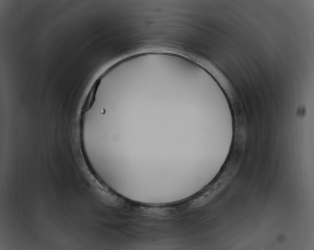 X0000100751004200807171407