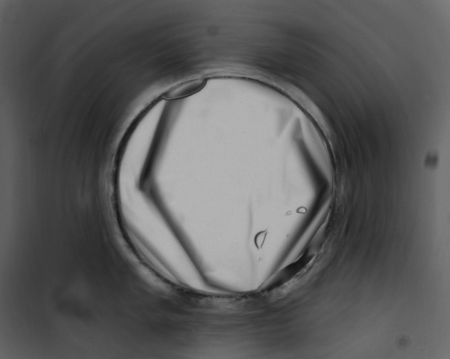 X0000100751005200807171407