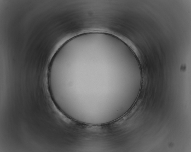 X0000100751006200807171407