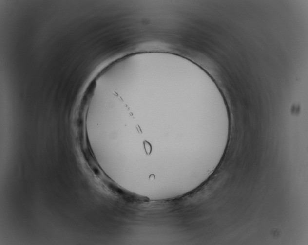 X0000100751008200807171407