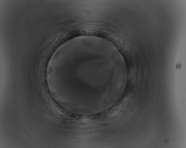 X0000100751009200807171406