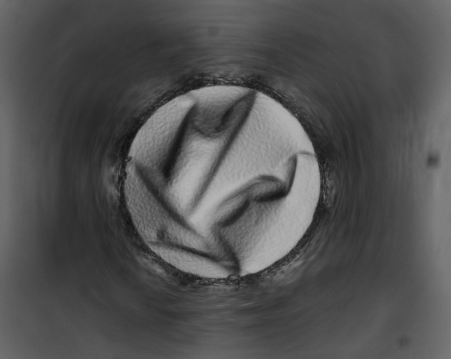 X0000100751010200807171406