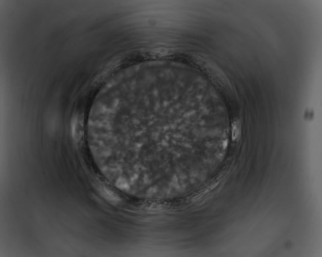 X0000100751011200807171406