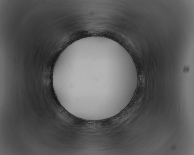 X0000100751012200807171406