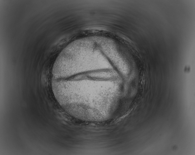 X0000100751014200807171406