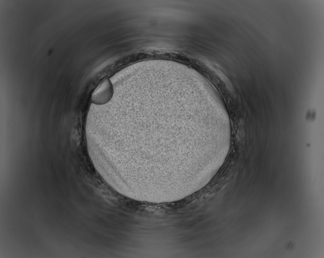 X0000100751015200807171406