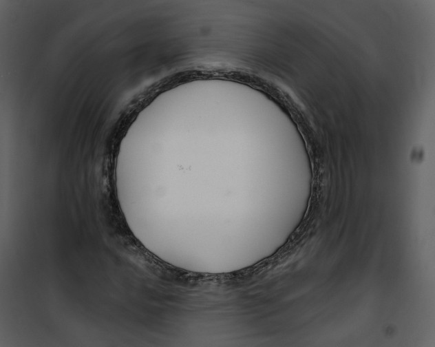 X0000100751016200807171406