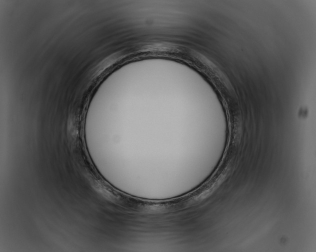 X0000100751017200807171406