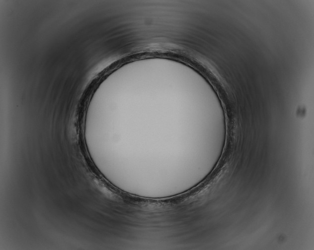 X0000100751018200807171406