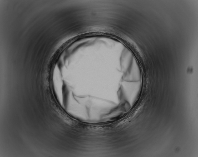 X0000100751019200807171406