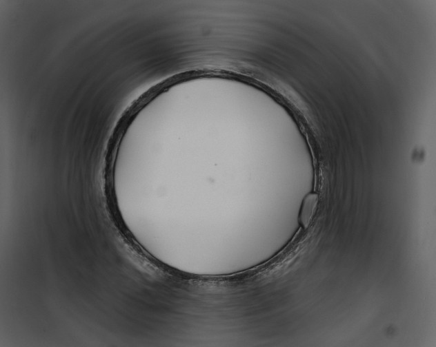 X0000100751020200807171406