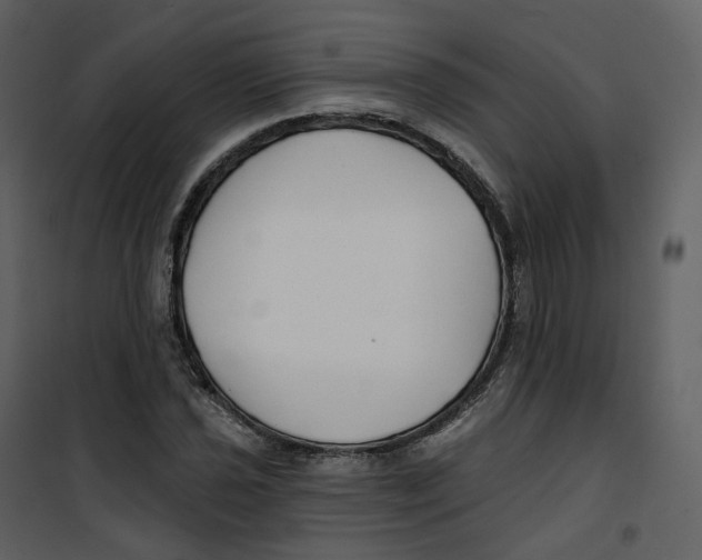 X0000100751021200807171406