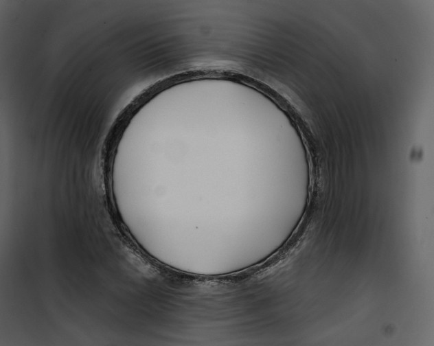 X0000100751022200807171406