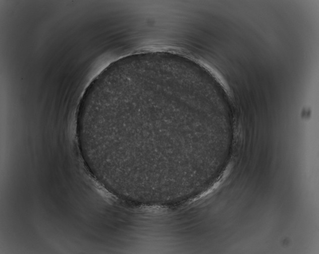 X0000100751023200807171406