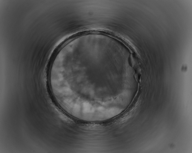 X0000100751024200807171406