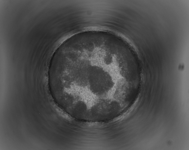 X0000100751025200807171406