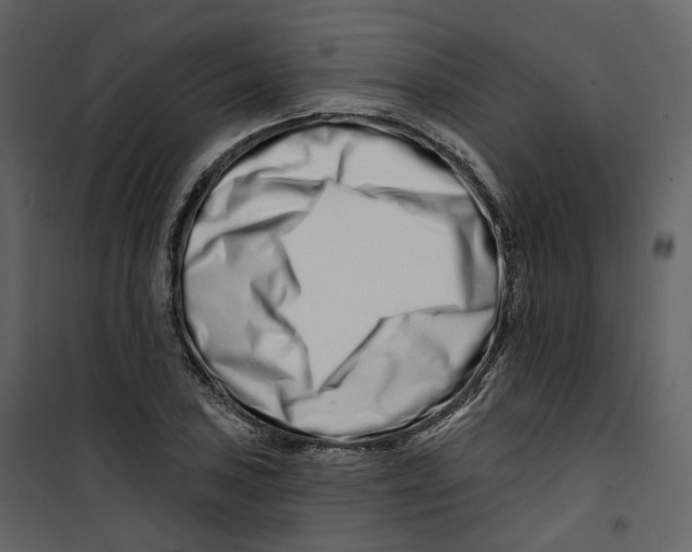 X0000100751027200807171406