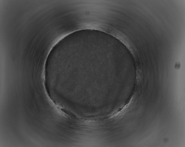 X0000100751028200807171406