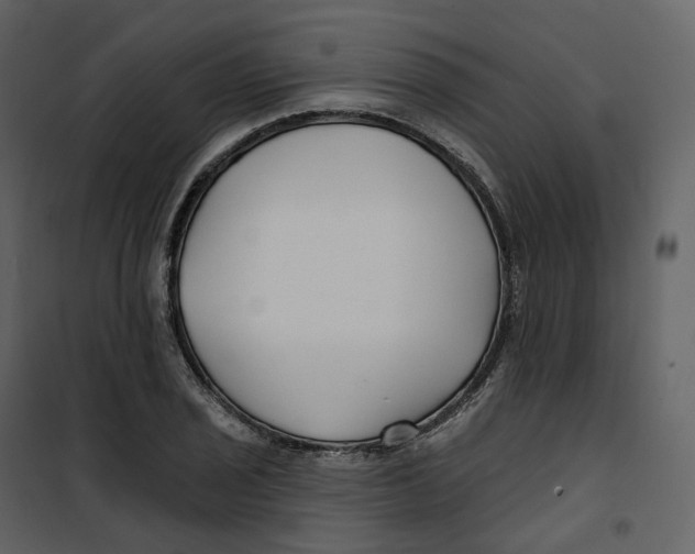 X0000100751029200807171406