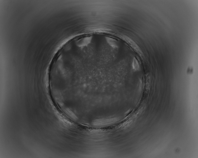 X0000100751031200807171406
