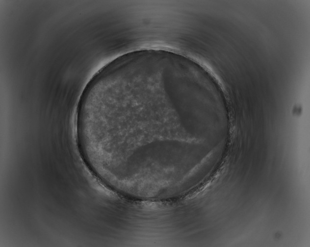 X0000100751032200807171406