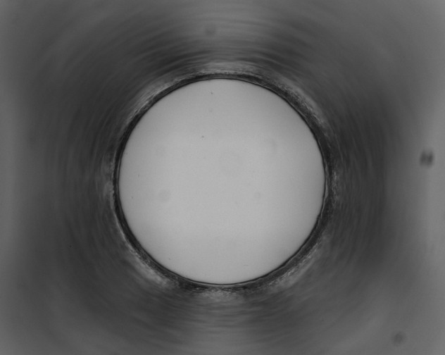 X0000100751033200807171406
