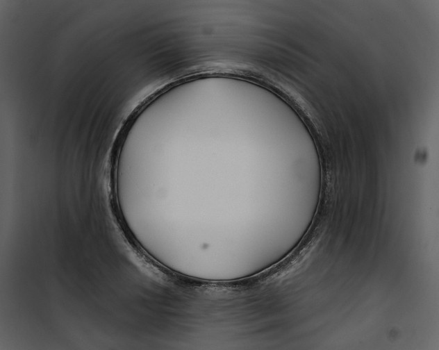 X0000100751034200807171406