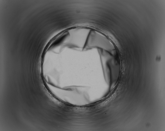 X0000100751036200807171406