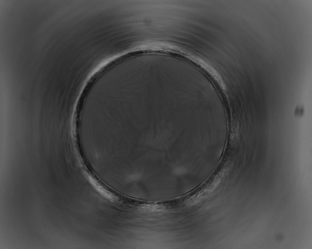 X0000100751037200807171406