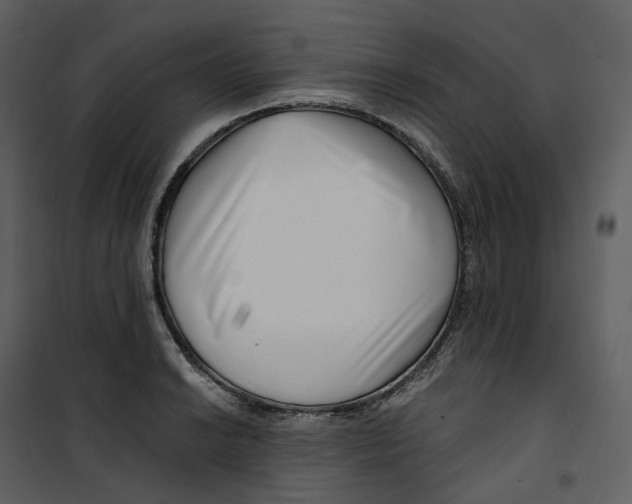 X0000100751038200807171406