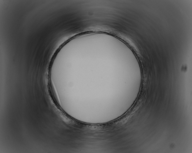 X0000100751040200807171406