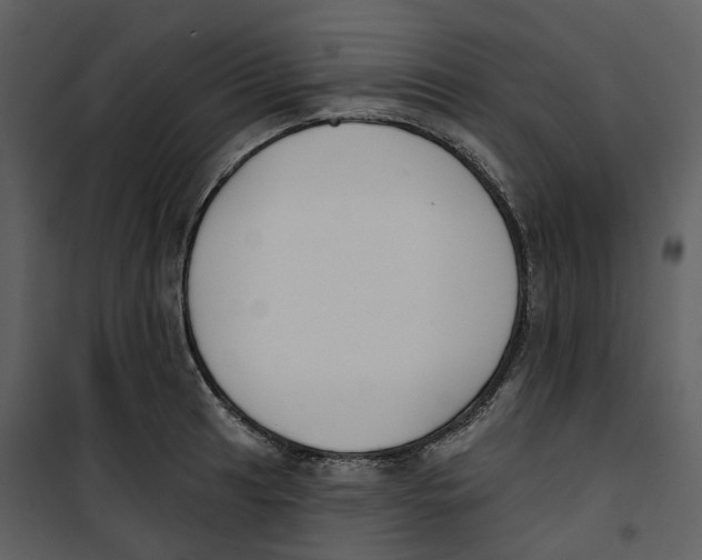 X0000100751041200807171406