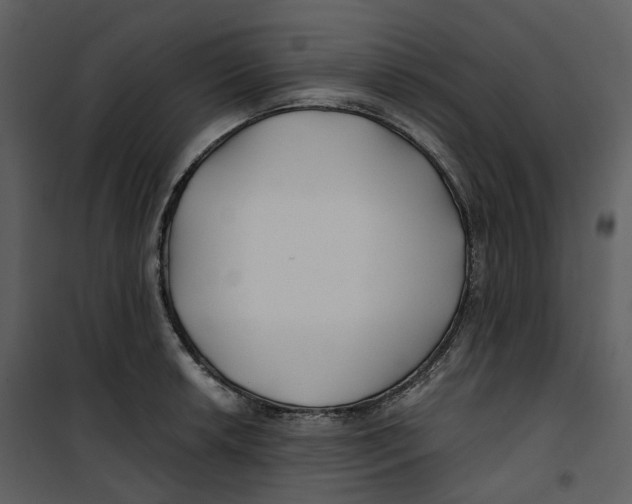 X0000100751042200807171406