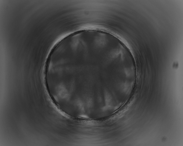 X0000100751045200807171406