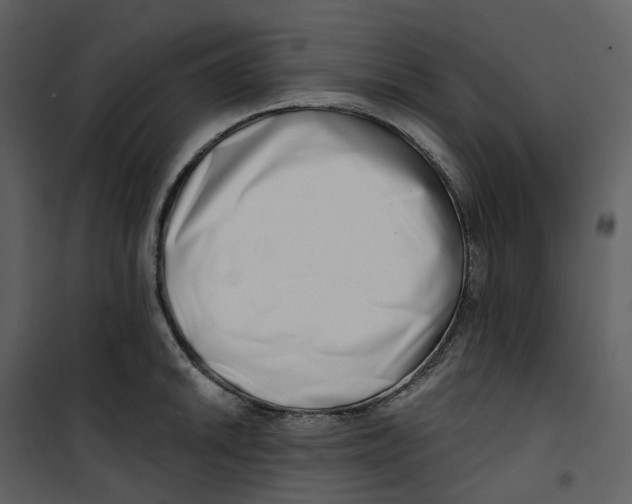 X0000100751046200807171406