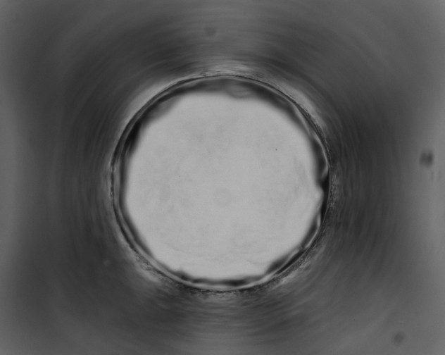X0000100751047200807171406