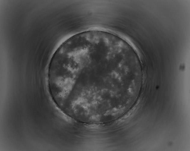 X0000100751048200807171406