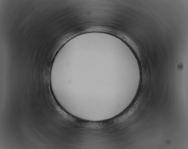 X0000100751049200807171406