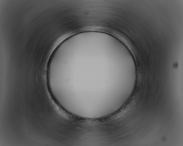 X0000100751050200807171406
