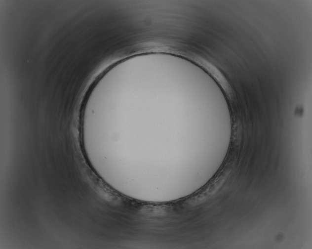 X0000100751051200807171406