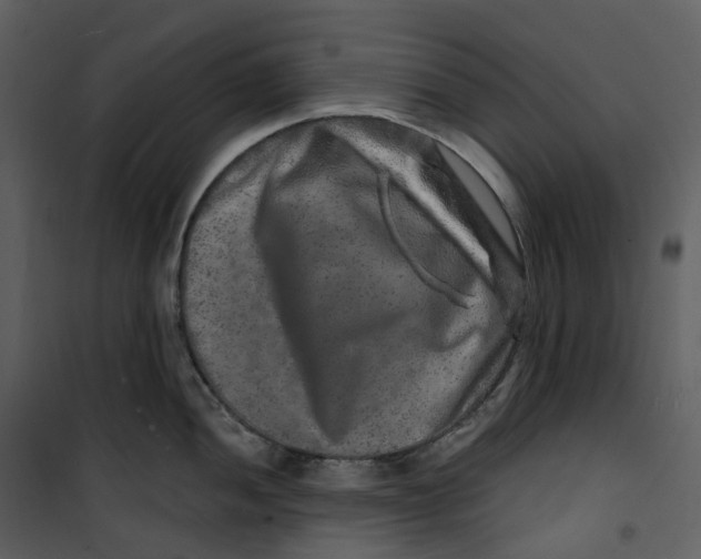X0000100751052200807171407