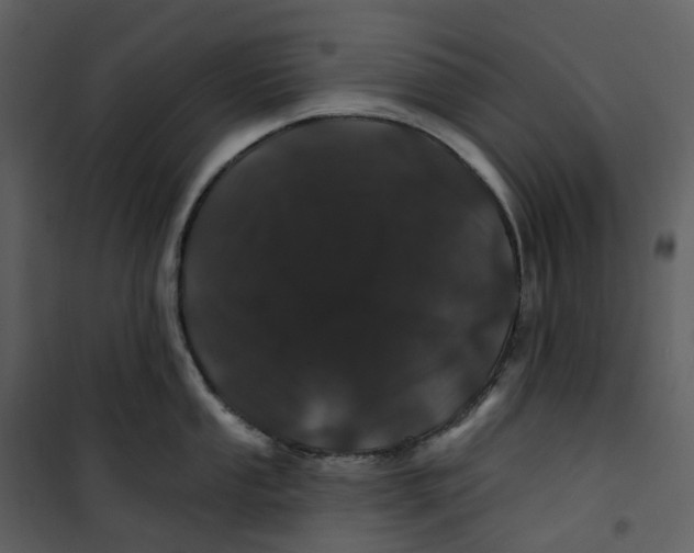 X0000100751053200807171407