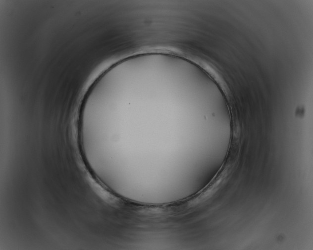 X0000100751054200807171407