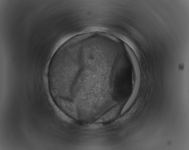 X0000100751055200807171407
