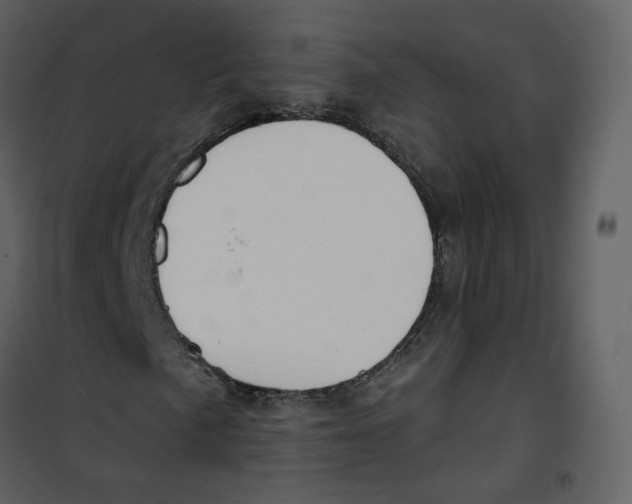 X0000100751057200807171406