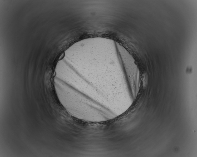 X0000100751059200807171406