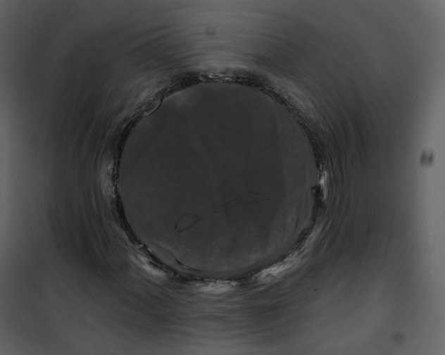 X0000100751060200807171406