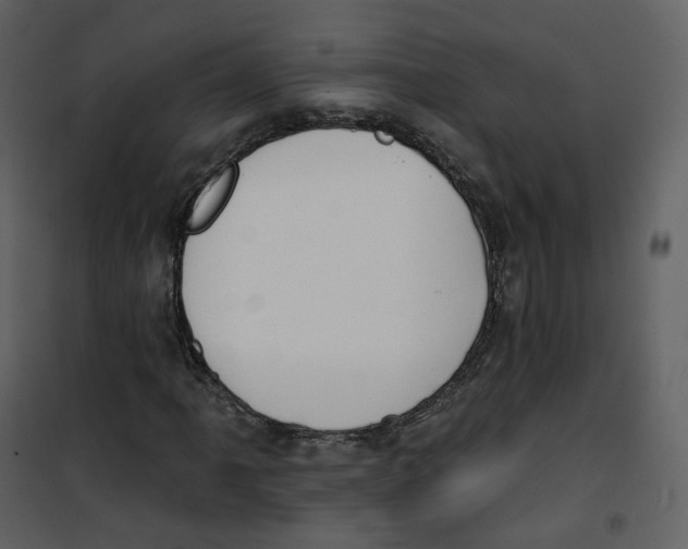 X0000100751061200807171406